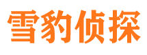 延边市私家侦探